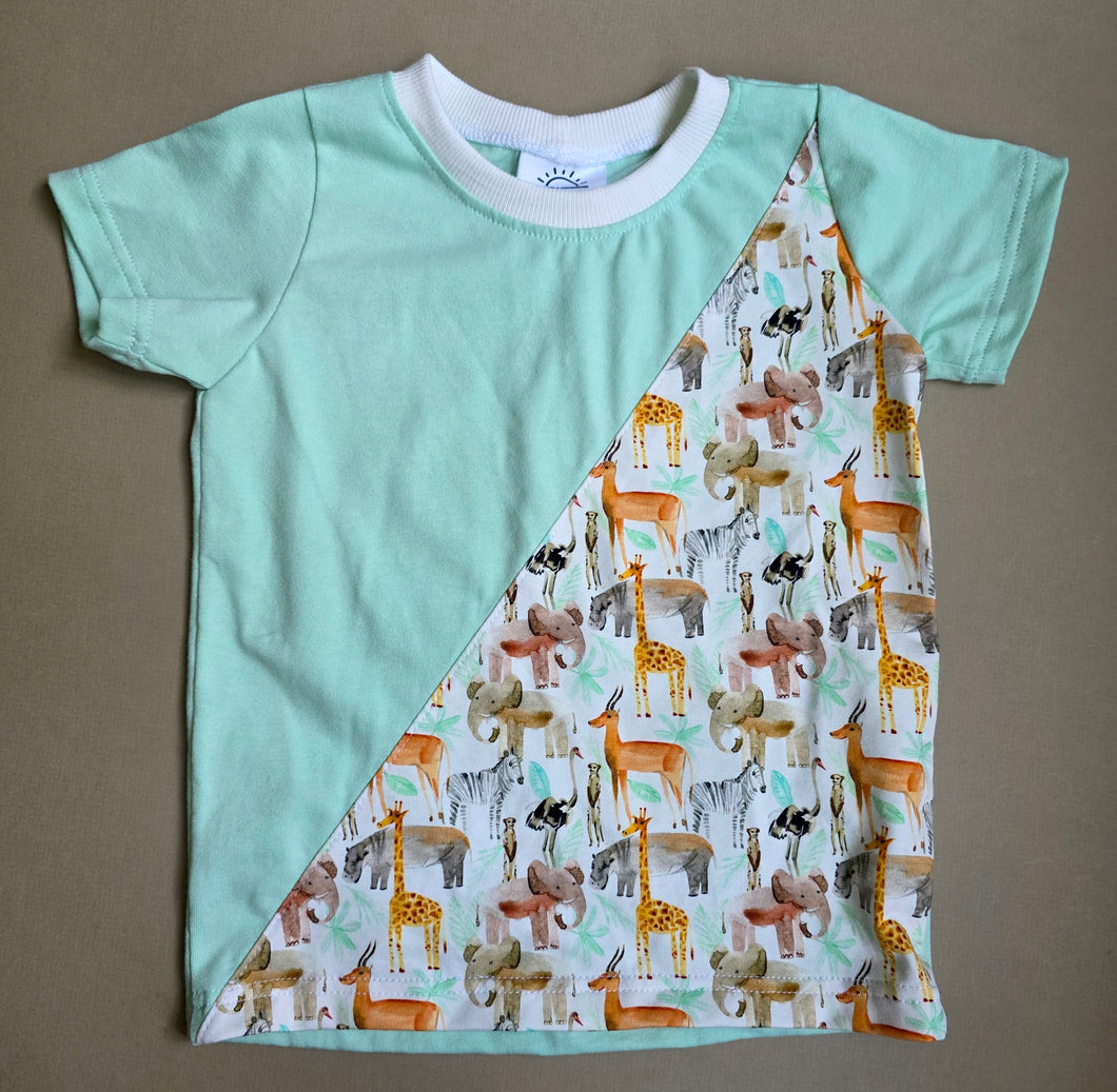 Zoo colorblock tee 2T