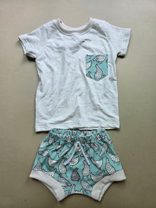 Spotted Chickens Tee & Shorties set 12-18 months