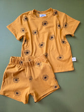 Load image into Gallery viewer, Sunny Daisies Sets
